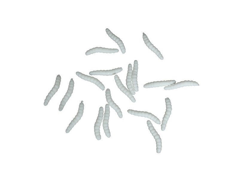 Elastische Weiße Würmer 20 Stk