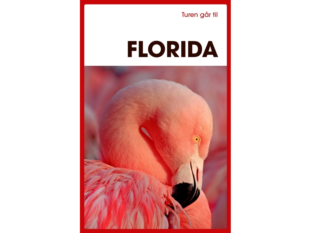 Turen går til Florida | Morten Scholz