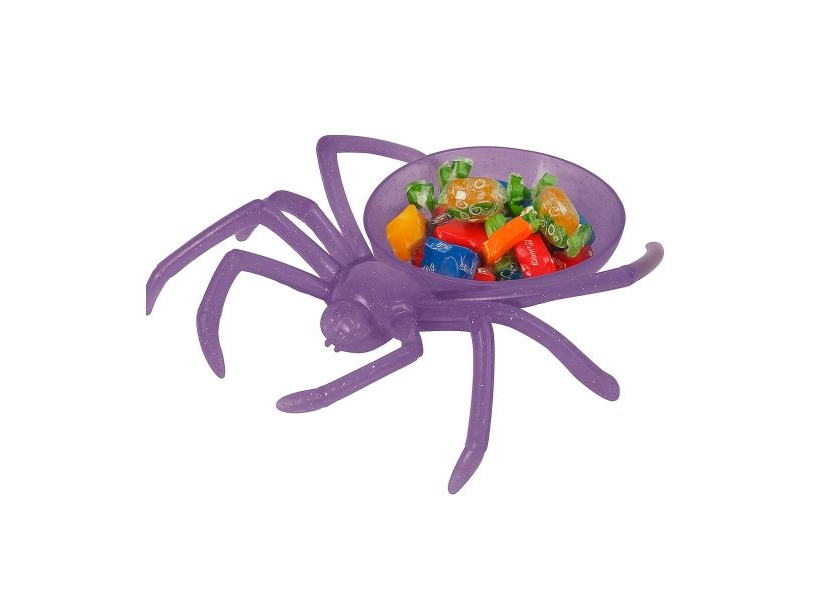 Lila Spinne Schale