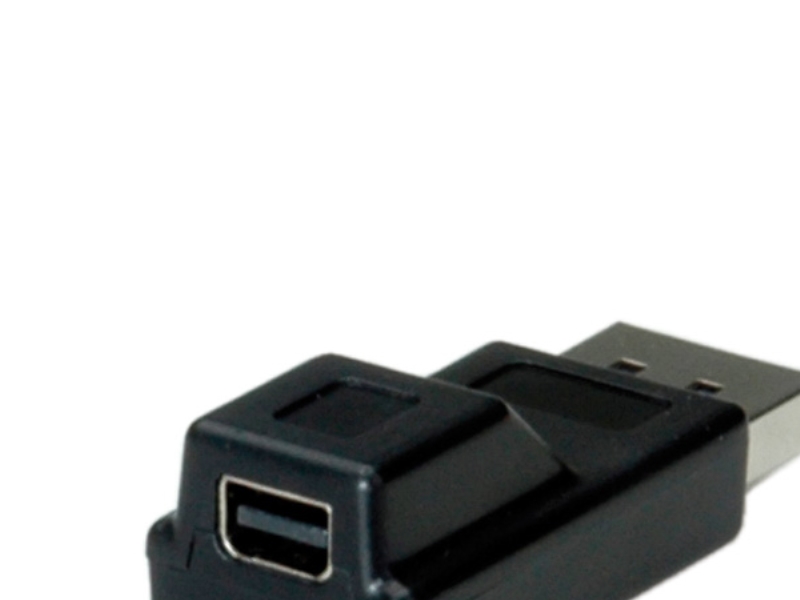 Roline Displayport Adapter, Dp M - Mini Dp F, Sort