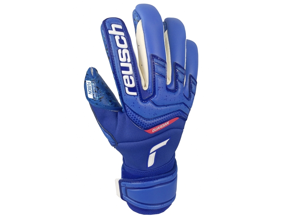 Reusch Attrakt Fusion Guardian