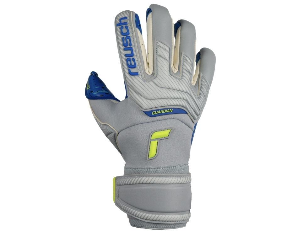 Reusch Attrakt Fusion Guardian