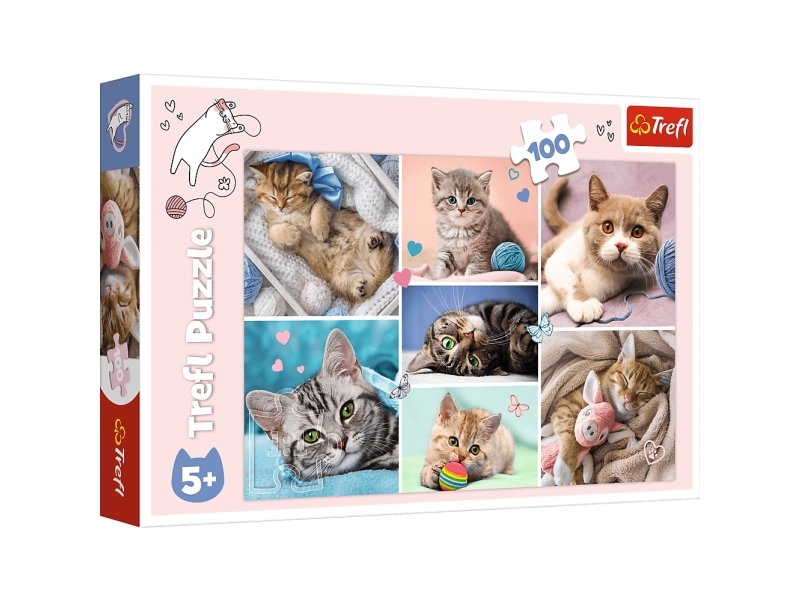 Trefl Puzzle - In the cat world (100 pieces) Floor