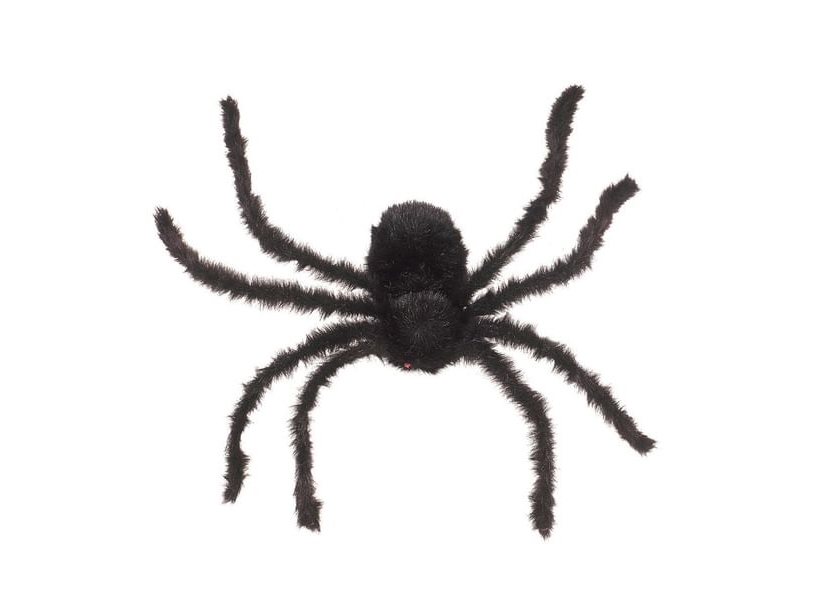 Spinne, 75 Cm