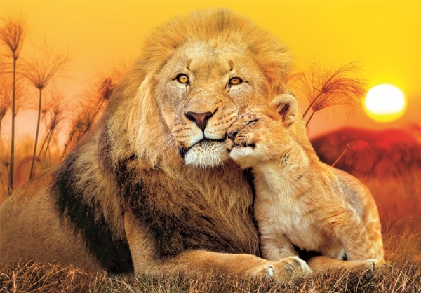 Puzzle „Foto: Unexpected Hug“, Super, 180 Teile