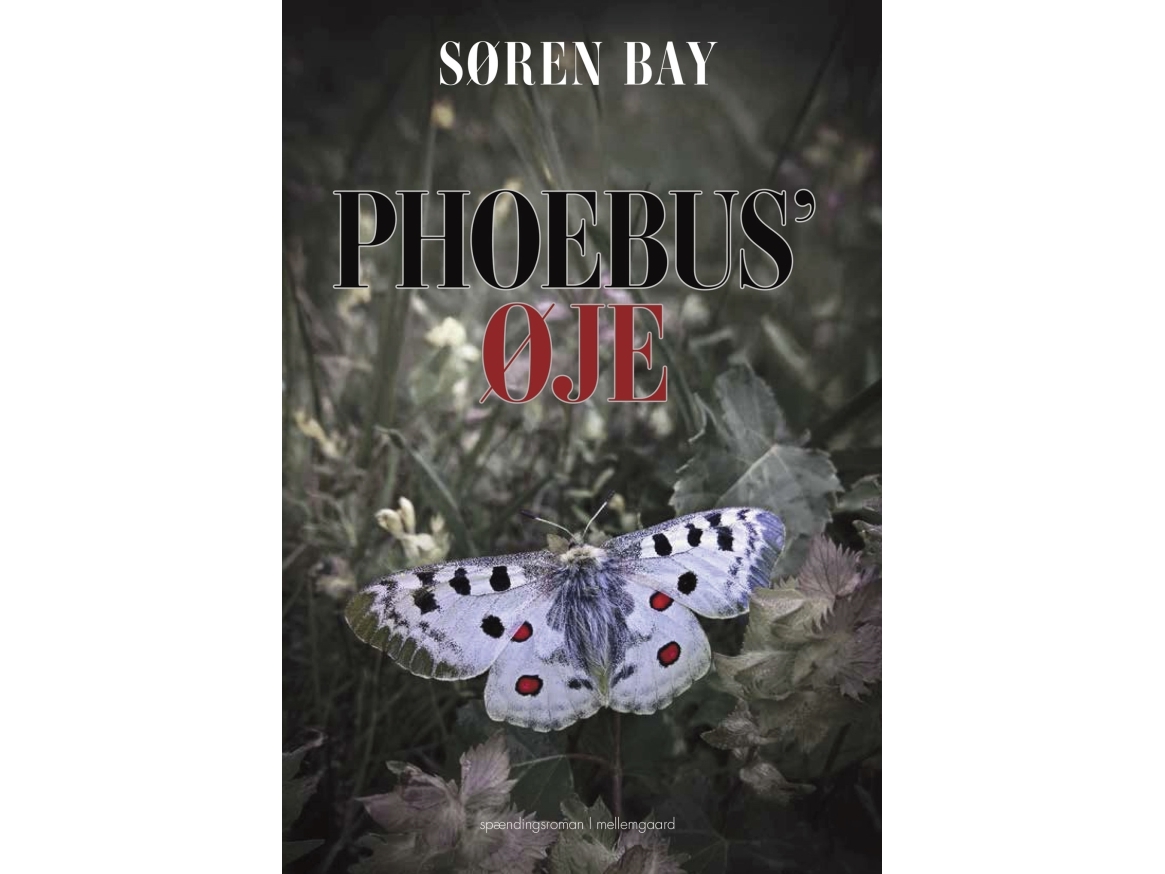 Das Auge Des Phoebus | Søren Bay | Sprache: Dänish