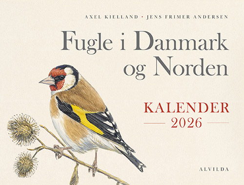Fåglar i Danmark och Norden - Kalender 2026 Axel Kielland, Jens Frimer Andersen Språk: Danska | Böcker - Årliga publikationer | GameStuff