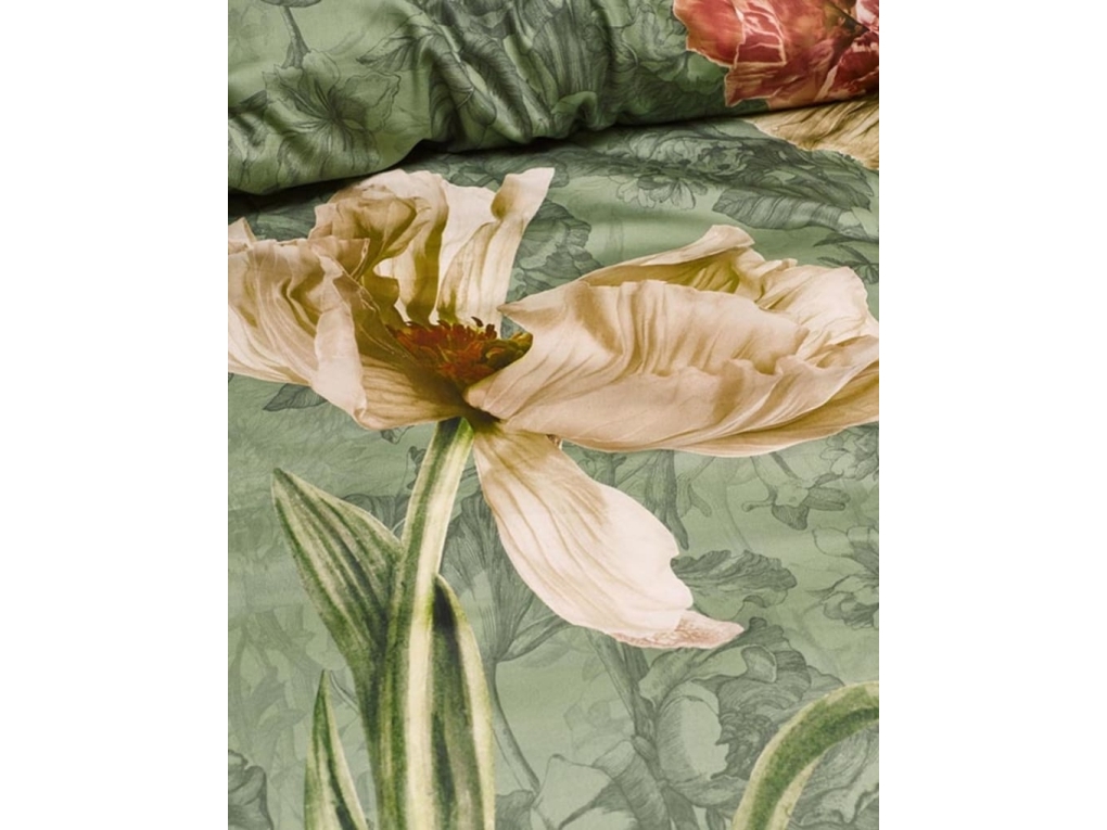 Essenza Annabel Basil 140x200+60x63
