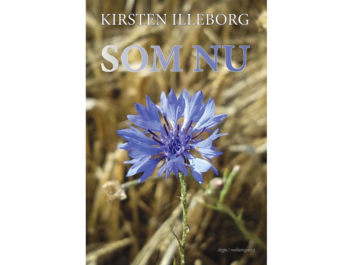 Som Nu | Kirsten Illeborg