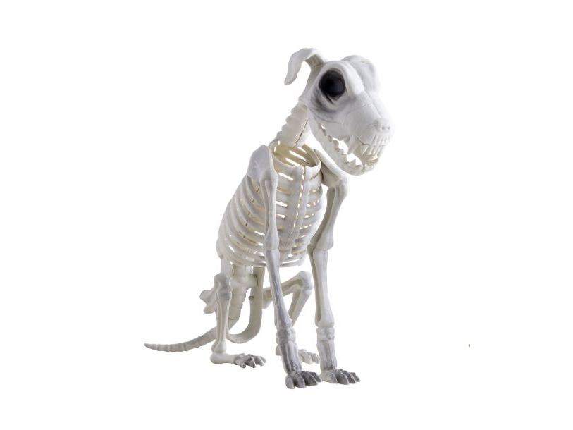 Hundeskelet