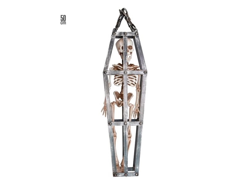Skelet Og Bur, 50 Cm