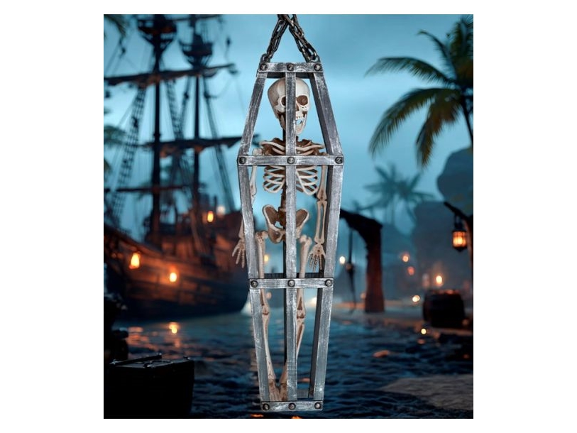 Skelet I Bur, 50 Cm