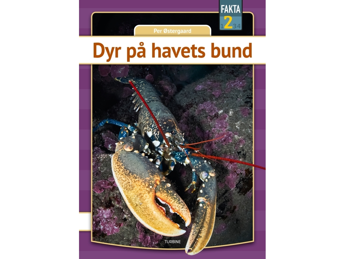 Dyr På Havets Bund | Per Østergaard