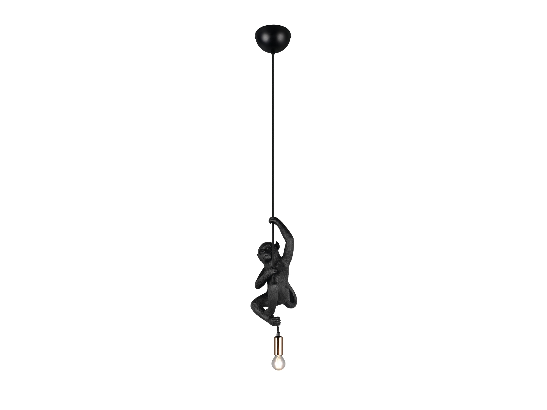 Luminaire Hanging Trio R36551002, E14