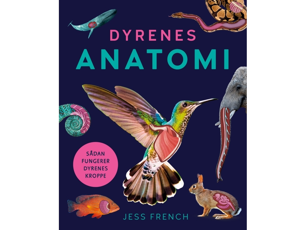 Dyrenes Anatomi | Jess French