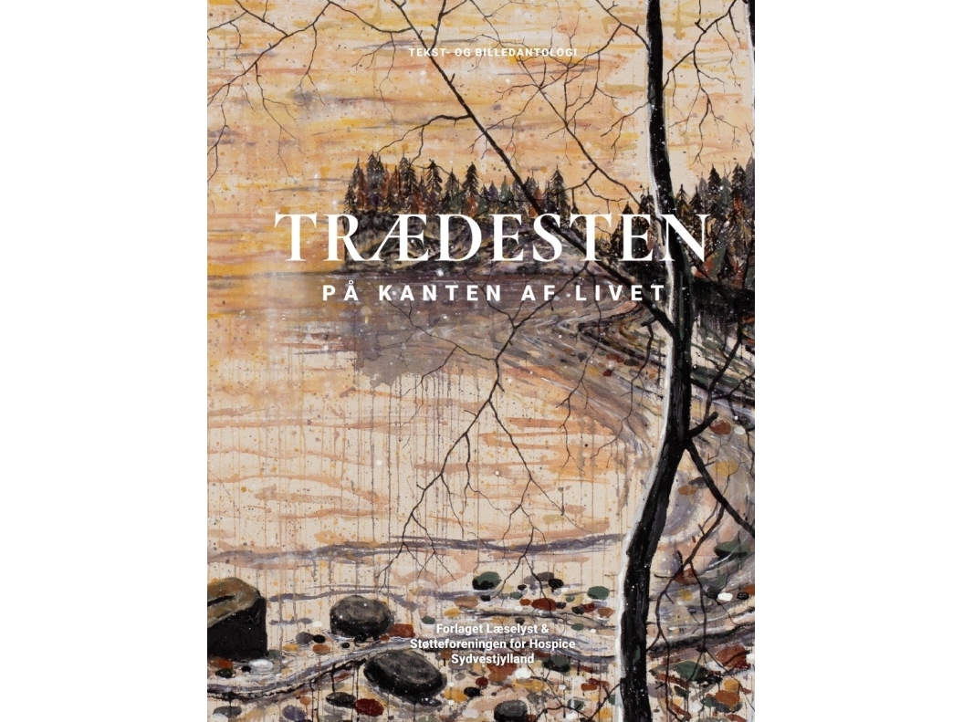 Stepping Stones | Gertie Baungaard, Tom Arnt Thorup, Kirstine Hansen Und Egil Hvid-Olsen (Hrsg.) | Sprache: Dänish