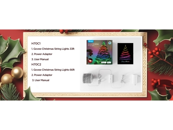 Govee Christmas String Lights 2 - 30 Meter