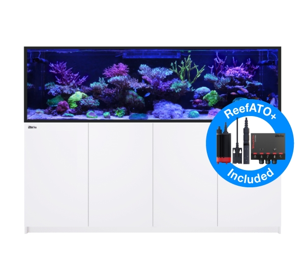 Red Sea Akvarium Set Reefer G2+ Vit 1000 | Sällskapsdjur - Fisk & reptiler - Sand och dekoration | GameStuff