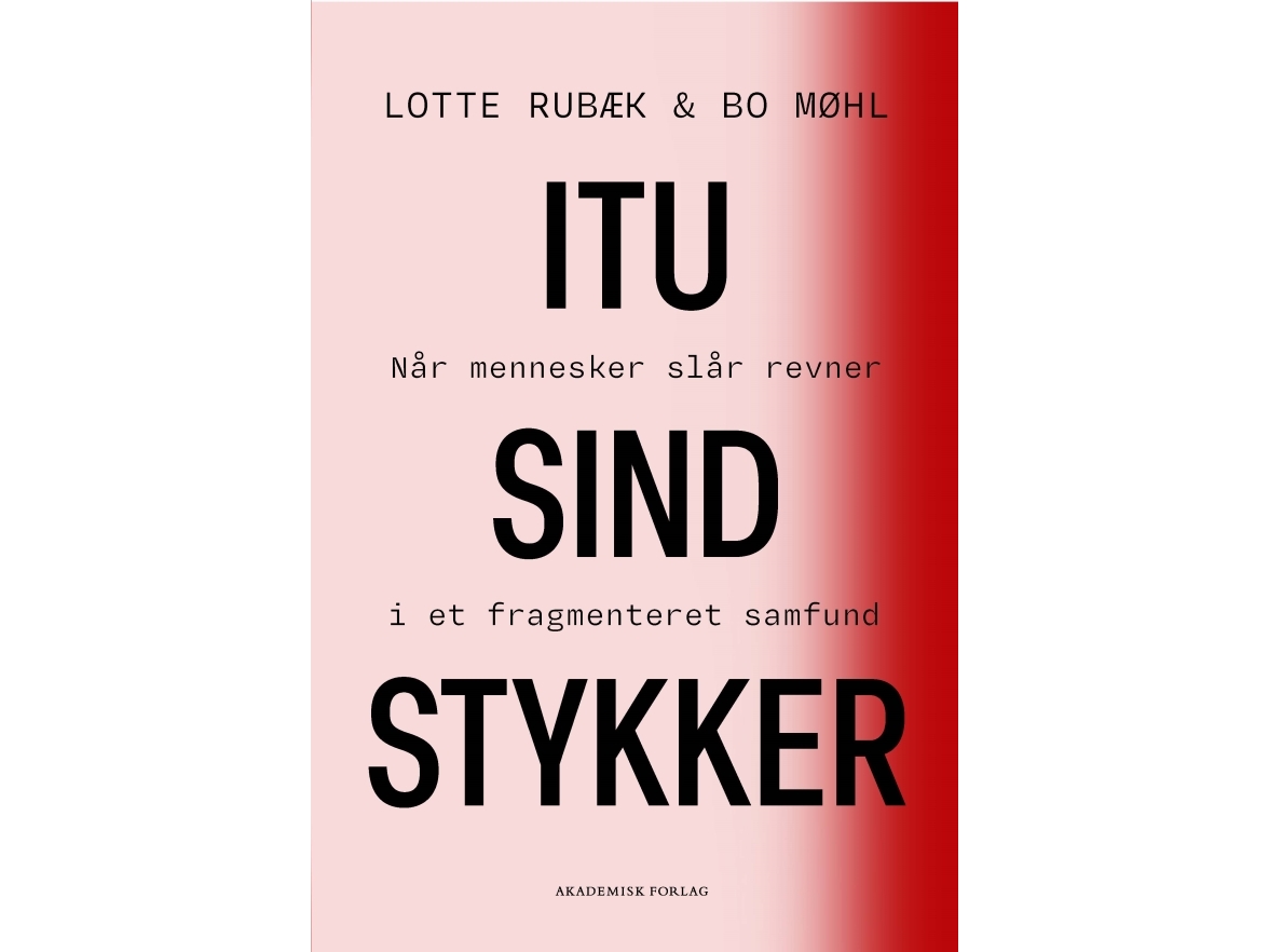 I Tusind Stykker | Bo Møhllotte Rubæk