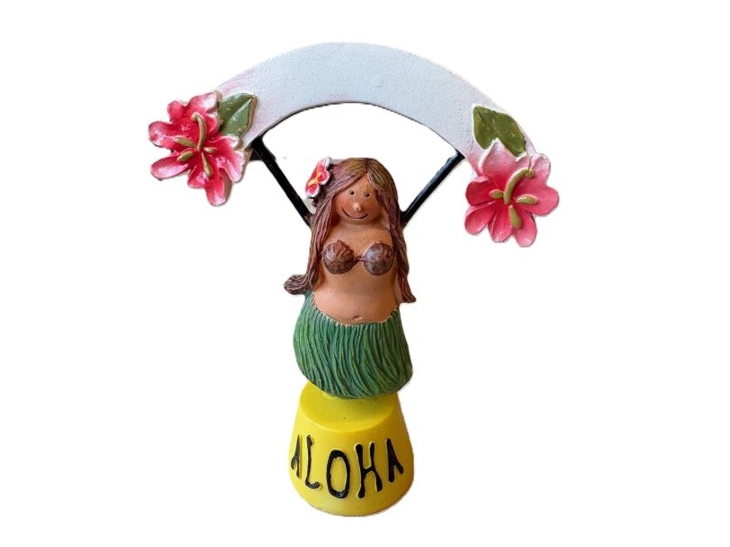 Hawaii Bordkort / Menukort, 3 Stk