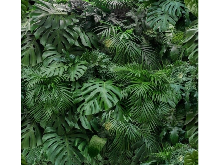 Art_For_The Photomural 119594 Rainforest