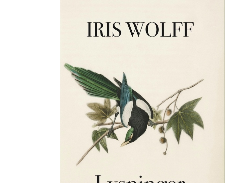 Illuminationen | Iris Wolff | Sprache: Dänish