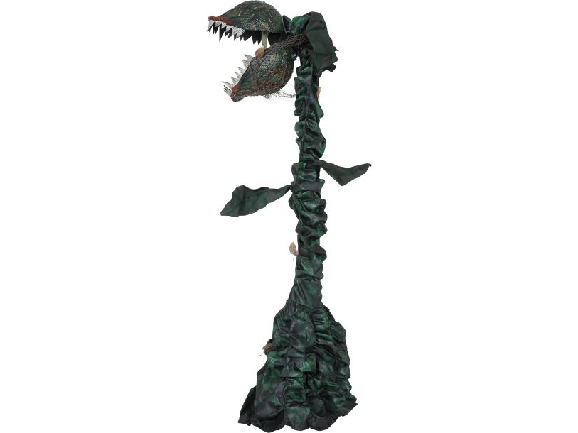 Kødædende Plante