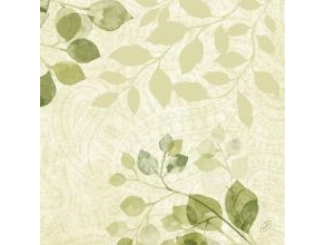 Servietten Bio Dunisoft Airlaid 40X40 Cm Paisley Leaves, 60 Stk./Pack