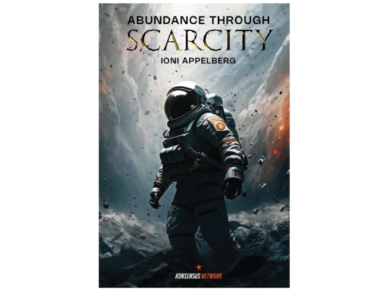 Abundance Through Scarcity | Ioni Appelberg | Sprache: Englisch
