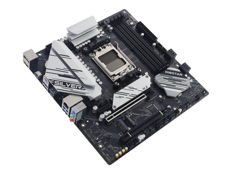 Biostar B650msilver Hauptplatine