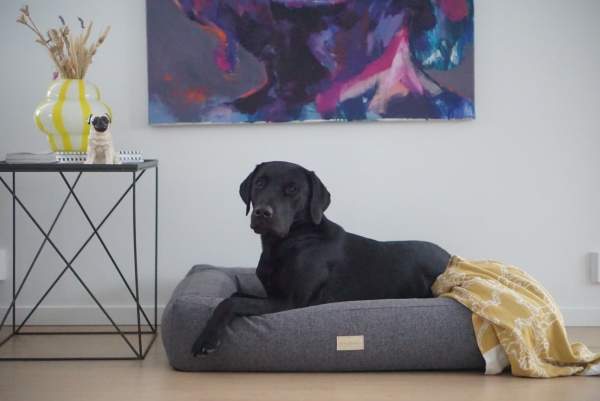 Shiro &Amp Malou Box Bed Hundebett Dunkelgrau L 120Cm