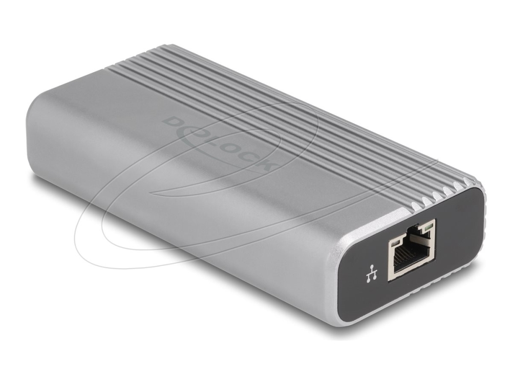 Delock - Netværksadapter - Usb4 / Thunderbolt 4 - 1/2.5/5/10Gbase-T - Sølv, Antracit (Sort)