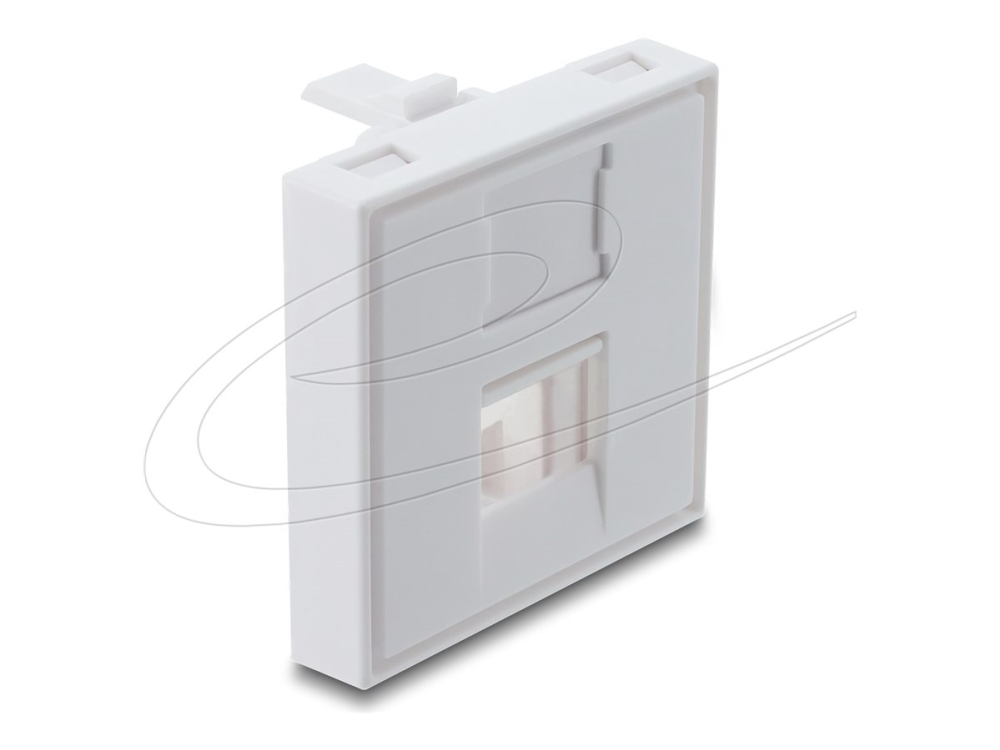 Delock - Easy 45 - Keystone-Modulholder - Med Støvkappe, 45 X 45 Mm - 1 Modul - Hvid
