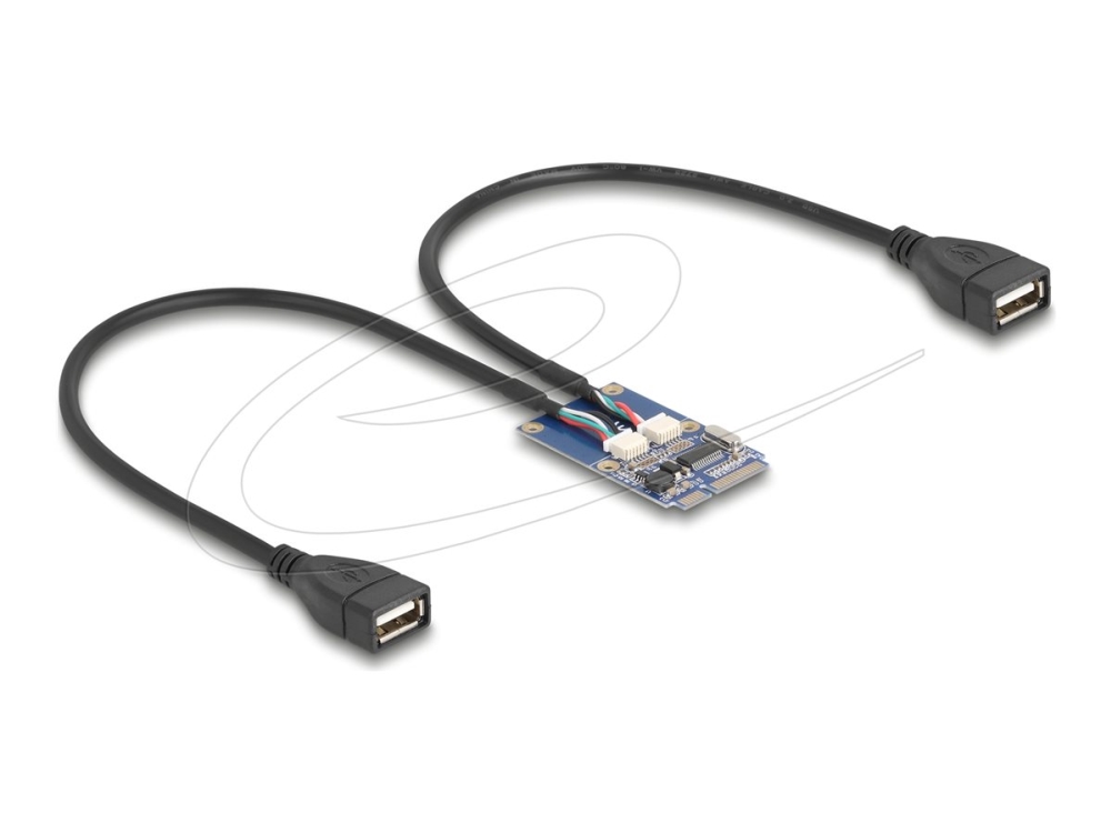 Delock - Usb-Adapter - Pcie Mini Card - Usb 2.0 X 2