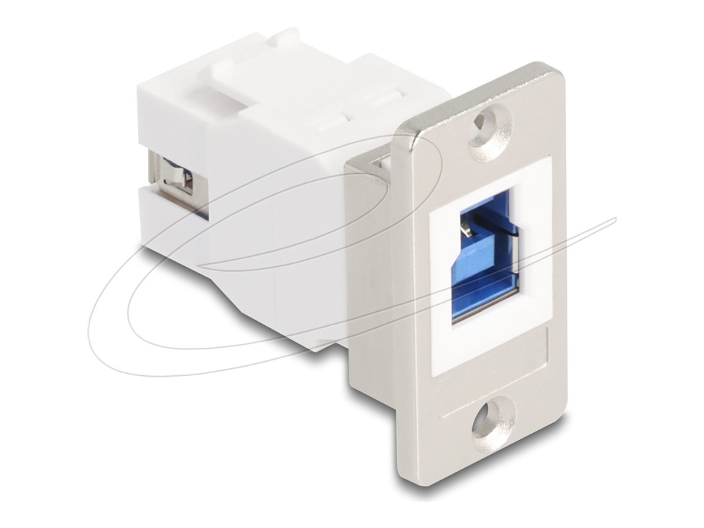 Delock - Usb-Adapter - Usb Type B (Hun) Til Usb Type A (Hun) - Panelmontering, Up To 5 Gbps Data Transfer Rate, Koniske Skruer - Sølv, Hvid
