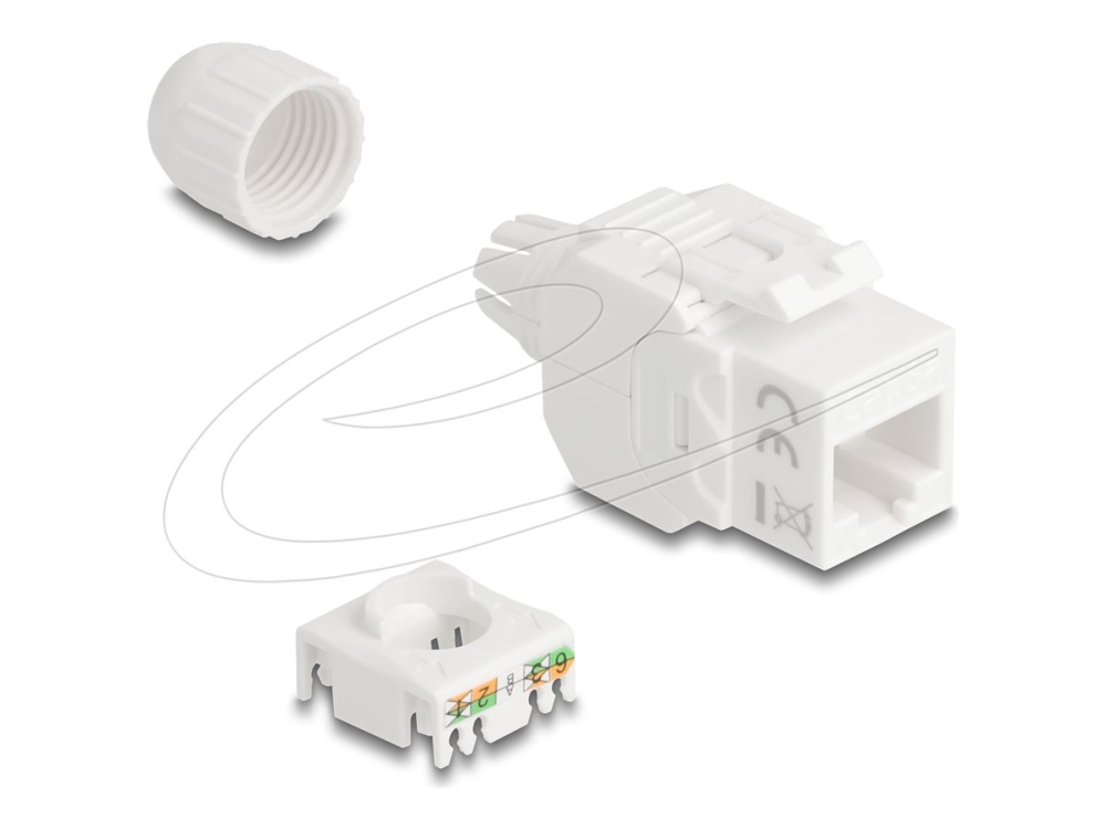 Delock 90721, Flach, Weiß, Rj-45, Lsa, Weiblich, 22/24