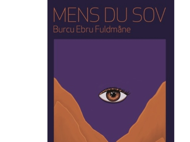 Mens Du Sov | Burcu Ebru Fuldmåne
