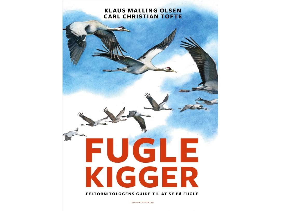 Fuglekigger | Carl Christian Tofte Klaus Malling Olsen