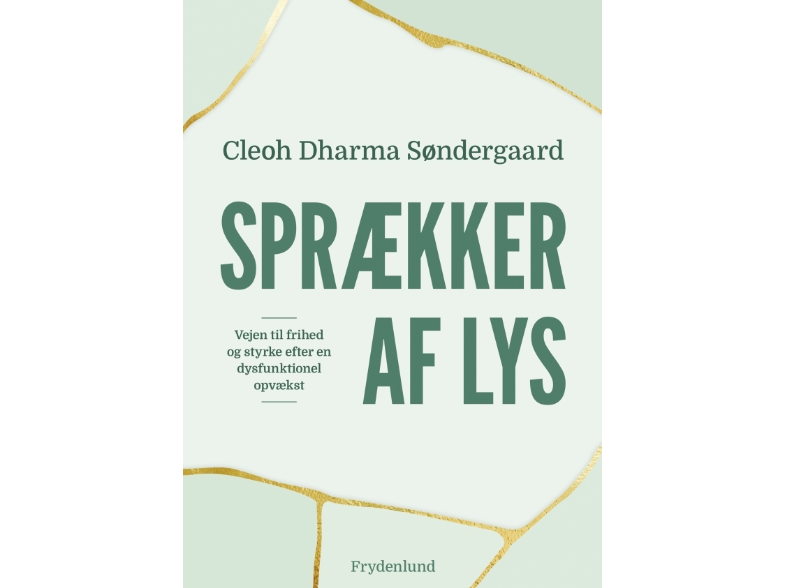 Risse Im Licht | Cleohsøndergaard | Sprache: Dänish