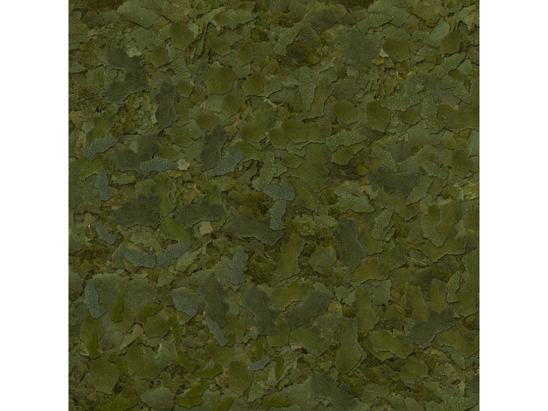 Sera Flora Flakes 10L