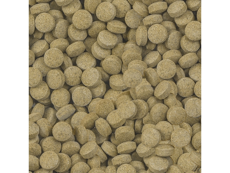 Sera Viformo Pleco Tabs 250Ml
