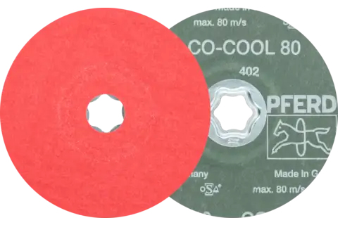Pferd Combiclick Fibre Discs, 12,5 Cm, 5 Stk