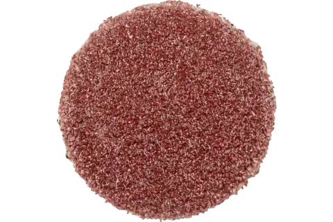 Pferd Self-Adhesive Abrasive Discs, 1,2 Cm, 100 Stk