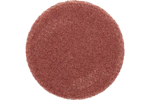 Pferd Self-Adhesive Abrasive Discs, 1,2 Cm, 100 Stk