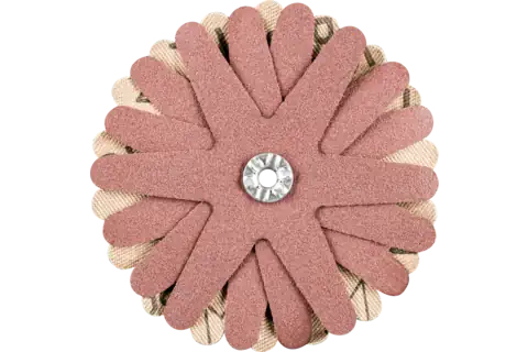 Pferd Polistar-Tube Cross Buffs, 10 Stk