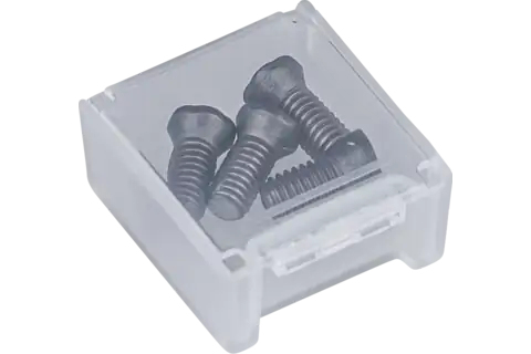 Pferd Cutting Inserts Bolt Set, 1 Stk