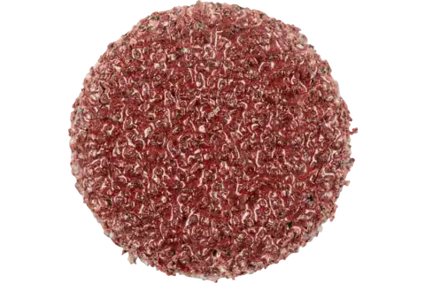 Pferd Self-Adhesive Abrasive Discs, 1,2 Cm, 100 Stk