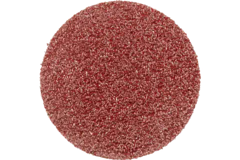 Pferd Self-Adhesive Abrasive Discs, 3 Cm, 100 Stk
