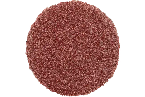 Pferd Self-Adhesive Abrasive Discs, 1,2 Cm, 100 Stk