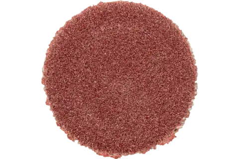 Pferd Self-Adhesive Abrasive Discs, 1,2 Cm, 100 Stk